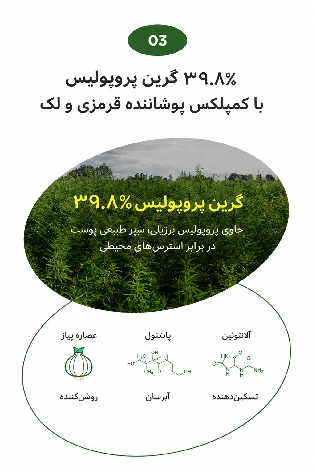 ضد آفتاب CKD Foundation Free Sun Cream 5